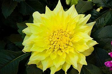 野村哲也谈《王国之心4》 将继续会有迪士尼世界